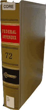 The Federal Appendix is one example of other publications that contain Federal court opinions.