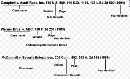 Image of sample case citation structure, almost identical to those in the textbook.
